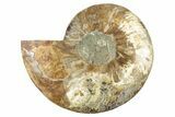 Cut & Polished Ammonite Fossil (Half) - Madagascar #282964-1
